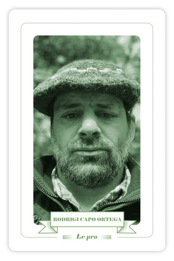 Rodrigo Capó Ortega